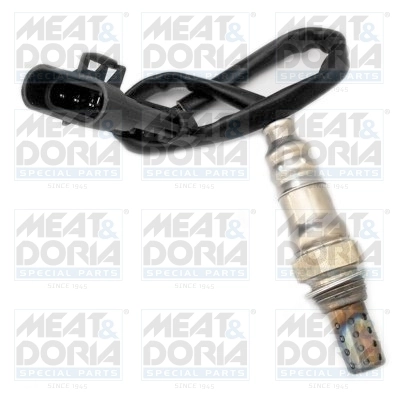 Oxygen Sensor